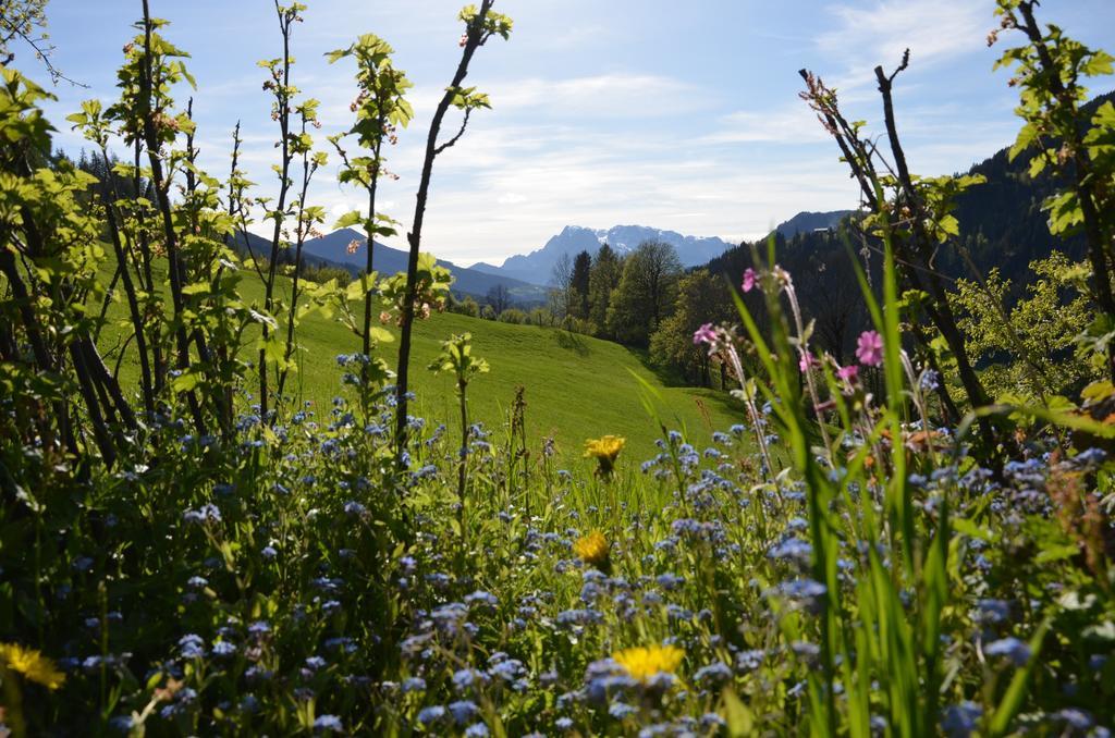 Bio-bauernhof Nichlgut Eben Im Pongau