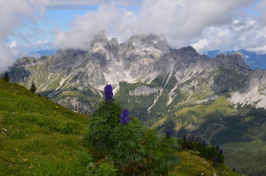 Bio-bauernhof Nichlgut Séjour à la ferme Eben Im Pongau